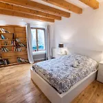 Loft 350m2 & Ideal Familles Ou Seminaires * Gertwiller