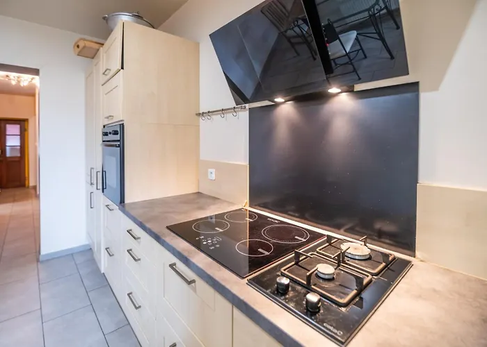 Loft 350m2 & Ideal Familles Ou Seminaires Ferienhaus Gertwiller
