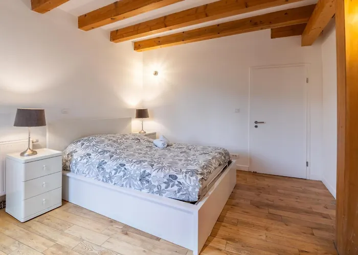 Ferienhaus Loft 350m2 & Ideal Familles Ou Seminaires Gertwiller